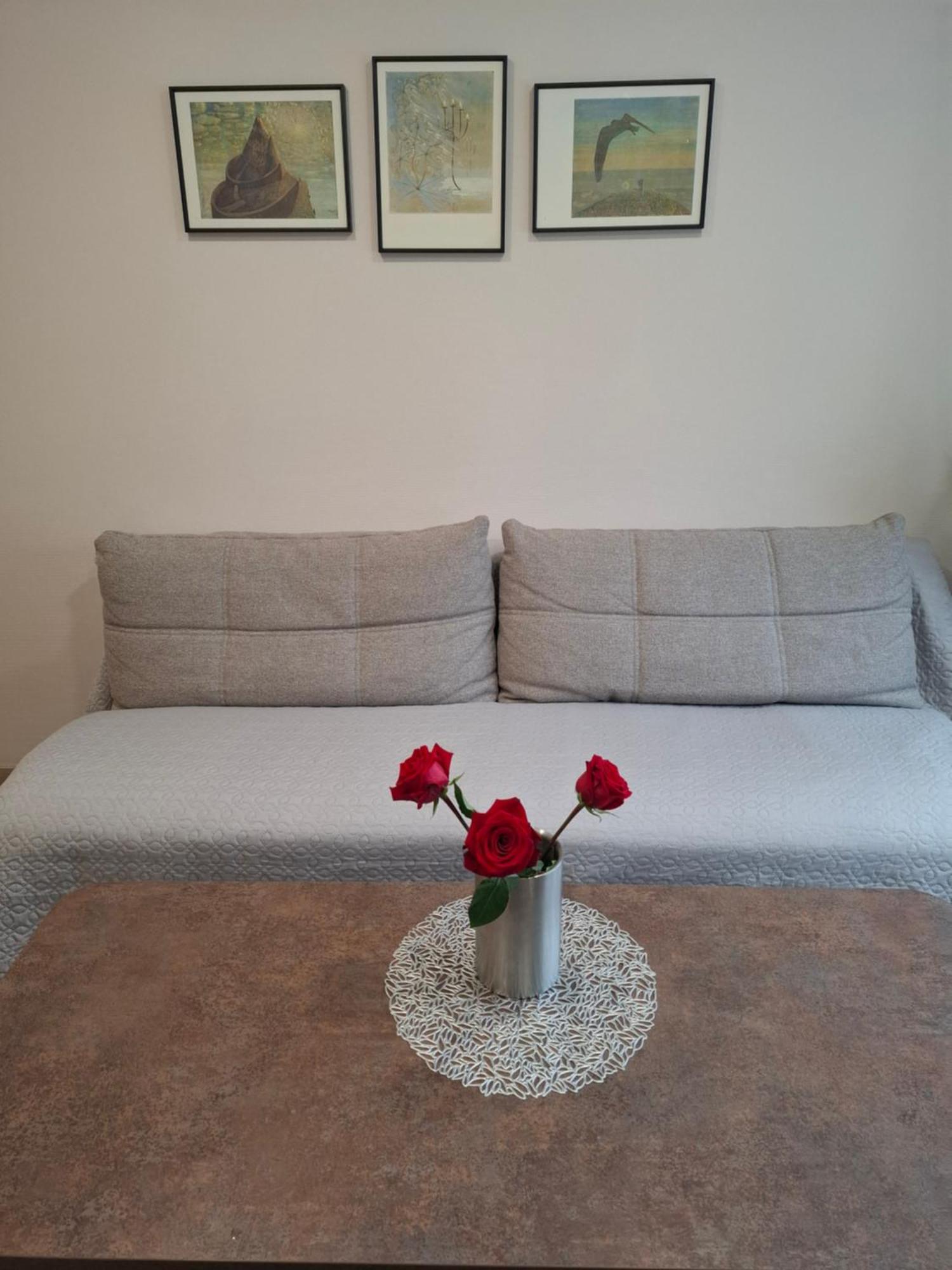 Apartamentai Auris Druskieniki Zewnętrze zdjęcie